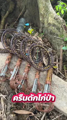 ครืนดักไก่ป่า31บ่วงหมานๆ ทนทาน100% #ครืนดักไก่ #ครืนต่อไก่ป่า  #ต่อไก่ป่า🐓🐓 #shorts  #fyp 