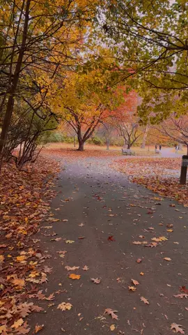 #fall #autumn #fypシ゚viral 