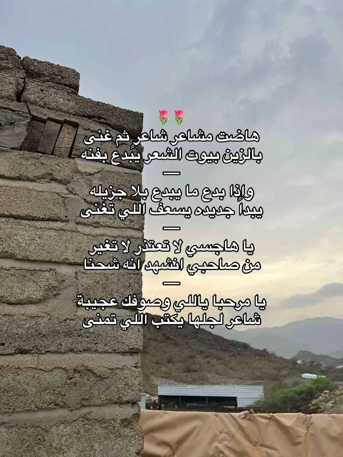 هاضت مشاعر شاعر ثم غنـى 🌷#اكسبلور #fyp #foryou 