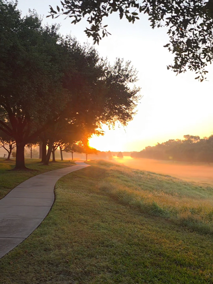 Replying to @javiejm #manuelelflaco #saludosmamaflex 
