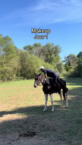 Premier jour de débourrage pour Makeup qui découvre gentiment les transitions et la direction  #equestrian #debourrage #younghorse #horse #fyp 