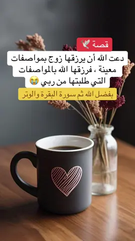 #SaudiNationalDay_95 #الحوقلة #foryou #explore #share 