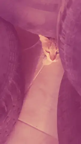 احلى من يغمزلي #pov #كسبلور 