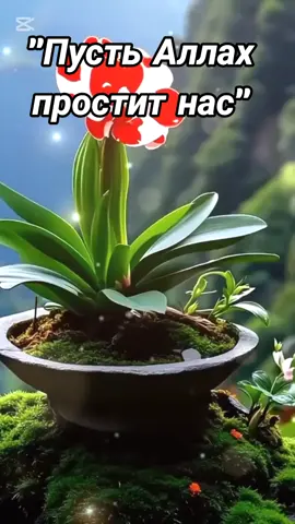 #алахуакбар☝️🕋 #субханаллах #пророкмухаммад #ислам_религия_мира_добра 