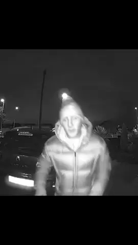 Is that Paddy the Baddy ❓ #UFC #paddypimblett #dog #latenight #fyp 
