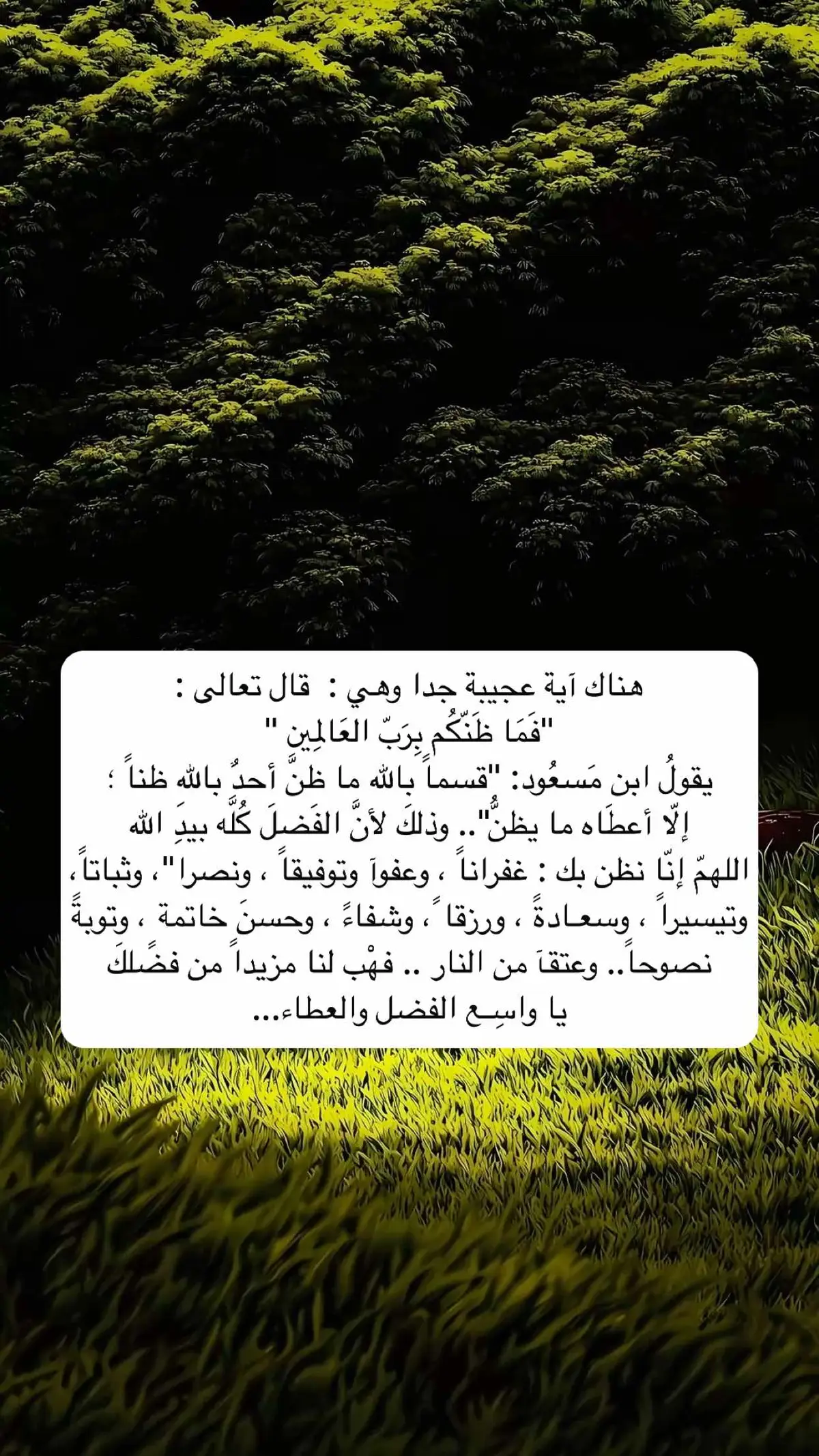 #حسن_الخاتمة #فما_ظنكم_برب_العالمين #اقتباسات #يارب❤️ #اكسبلور 
