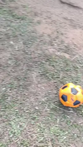 шо ты тут разлёгся