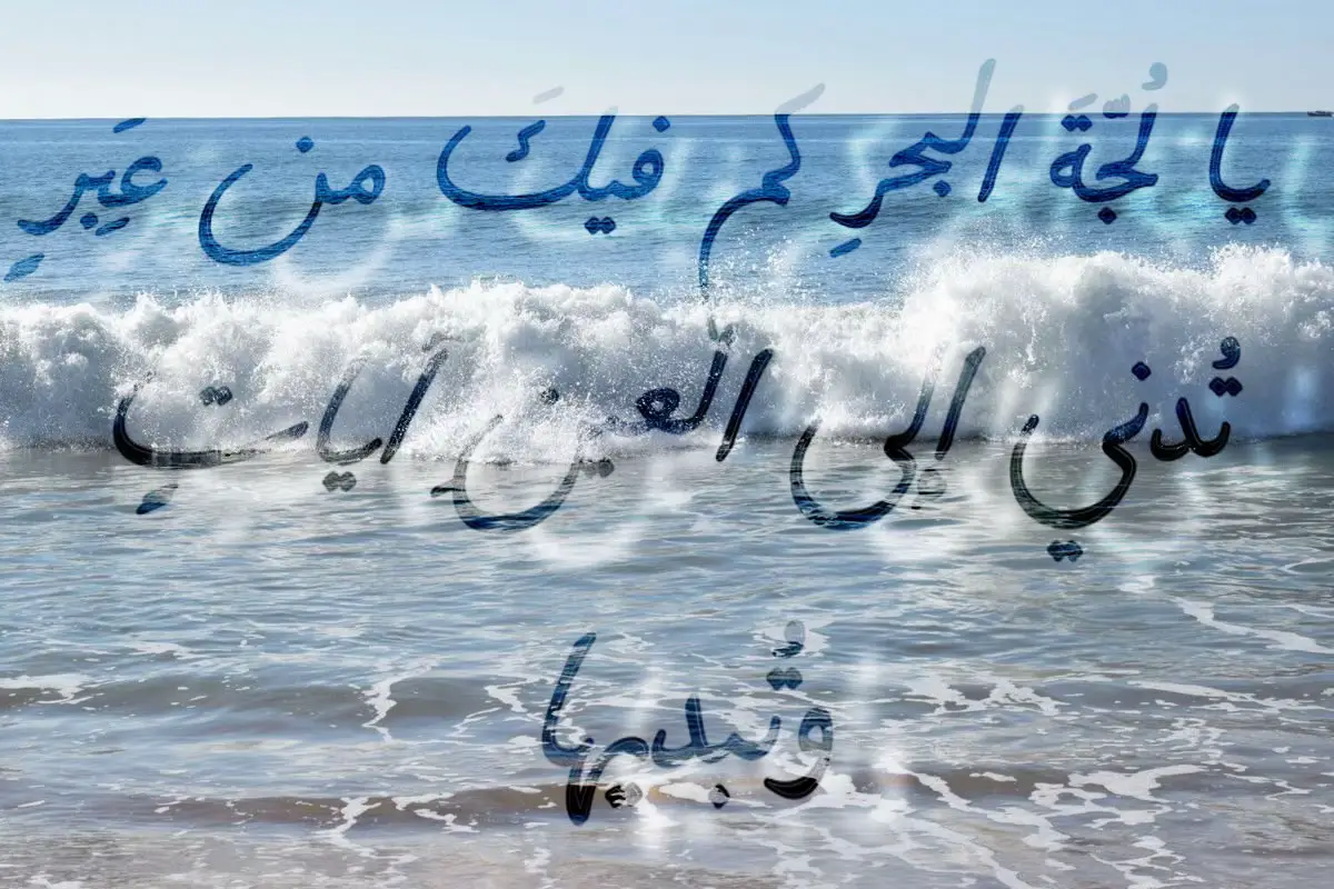 يا لُجّةَ البحرِ كم فيكَ من عِبَرٍ  تُدني إلى العينِ آياتٍ وتُبديها تَزهو وتَمرحُ في تيهٍ وتَفترُةٍ  كأنّما هيَ سُلطانٌ يُزاهيه #شعر #اكسبلور #fyp #aesthetic #قصائد 
