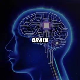  #alcohol #brainscience #neuroscience #brainfacts #darkpsychology