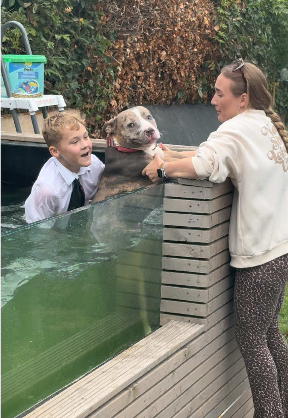 Silly Dog, silly Lady 🐾🥴  #dogsoftiktok #dog #funnytiktok #comedy #puppylove 