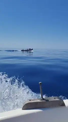 ##مستغانم_حراڤة #الجزائر_اسبانيا_🇩🇿🇪🇦_فرنسا🇫🇷_fa #ابوني_ياك_باطل_ولا_حنا_مانستاهلوش #حركة_إكسبلور #الشعب_الصيني_ماله_حل😂😂 