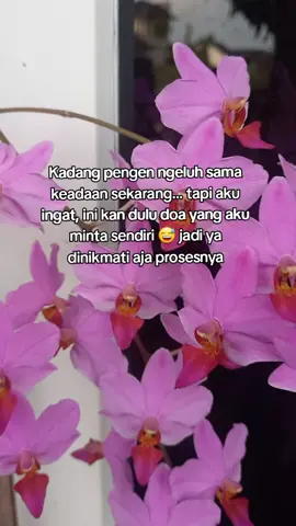 hidup memang penuh kejutan, setiap doa yang dikabulkan akan ada ujian yang harus dilewati