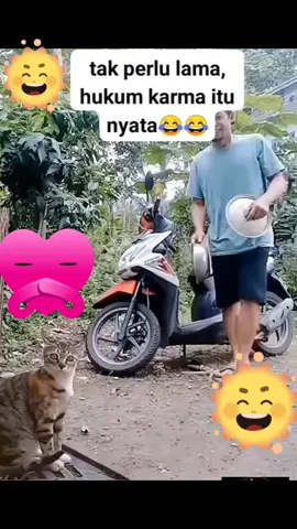 tak perlu lama hukum karma itu ada#fyp #catlover #penyayangkucing #penyayangbinatang #pencintakucing 