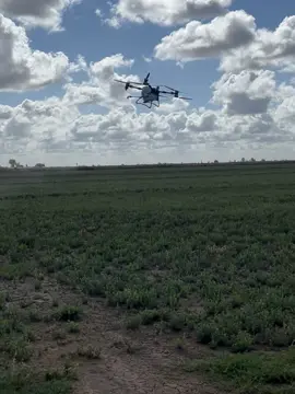 Agras t100 🚁🫡#valledemexicali #fyp #viral #drone  