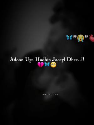 Are you love all )❤️🥺🎸#heestan🥺❤ #adoon uga hadhin jacyl.dhex..#foryoupege #somalilyrics🌺😕💎 #somalilyrics🌺😕💎 #foryoupege #foryou #Qudcur__lyrics❤️ #jawi_bila🌊❤️🌴 #viewsproblem😭 #viral_video_tiktok😍💖🤩 #heestan🥺❤ 