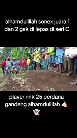 player rink 25 #fyp #merpati balap lumajang#pmbsi #merpati balap probolinggo#merpati balap teres