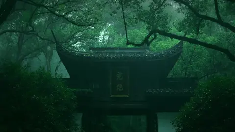 Mưa rơi trên mái tôn cũ, từng giọt như nhịp tim thầm lặng của thành phố. Không còi xe, không ồn ào, chỉ còn mùi đất ẩm và ký ức lạc lõng. Người đi qua đời tôi cũng như cơn mưa, thoáng đến rồi đi, để lại vệt ướt trên trái tim mà chẳng ai lau. Tôi đứng bên cửa sổ, lặng nhìn dòng mưa, và nhận ra: bình yên đôi khi chỉ là lặng thinh giữa những giọt mưa... #chualanh #thiennhien #yenbinh 
