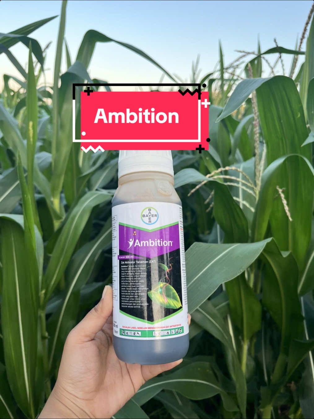 #ambitionbayer #ambitionzat #zatambition 