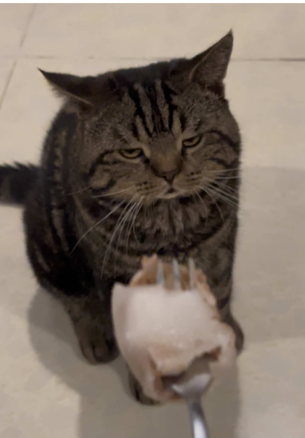 Hỏi có nghiện hong thì quay mặt đi, là có hay hong dzậy?!?#Vằnmatmat 