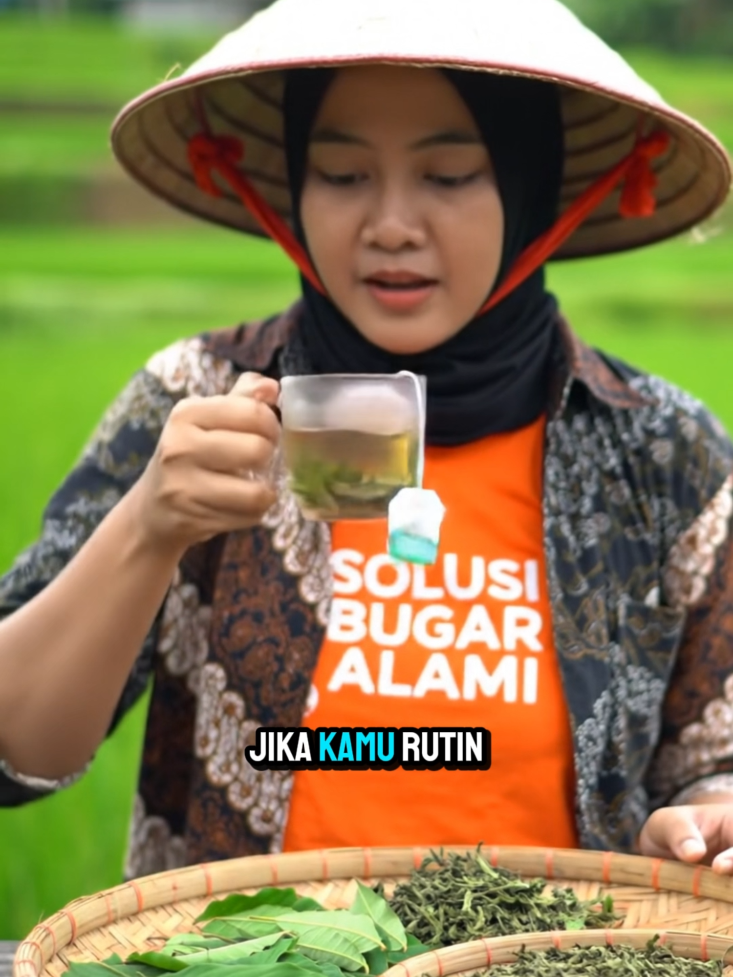 Kamu harus rutin minum Teh Daun Kumis Kucing ini #solusibugarmu #solusibugaralami #kumiskucing #kumiskucingherbal