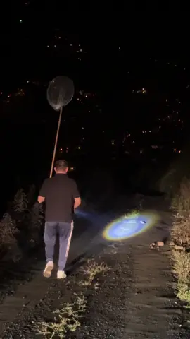 #keşfet #bıldırcın #tiktokindia #tik #gerilim 🤣🤣