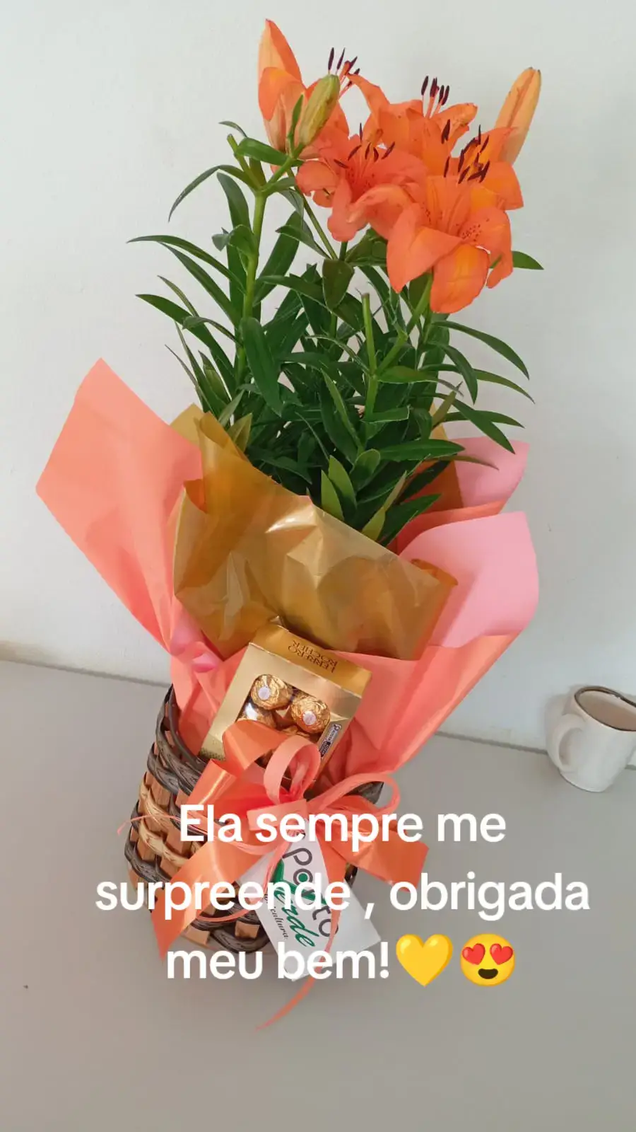 @🌈🌵 Liliam🌵 🌈 