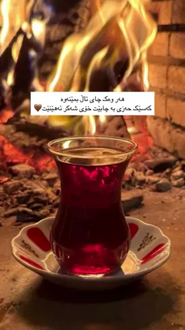 #هاوريان_ئةكتيڤ_سفرة_هاوكار_بن #foryou 