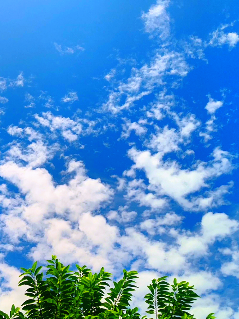 আকাশে চোখ মেলে থাকি এই বুঝি পাঠালে চিঠি 