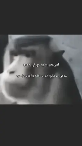 لعد ويييتنننن انطييي وجهههييي#😂 #اكسبلور #ياعلي #masukberanda #explore 