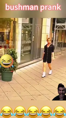 risa#arbusto #gritosrisa #sustos 