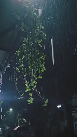 এই অভাবের পৃথিবীতে সবচেয়ে ভয়ংকর অভাব বইলো। হলো নিজের ভেতর নিজেকেই খুঁজে না পাওয়া। #foryoupage 