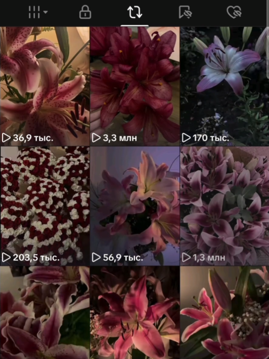 @ритуся любимая🙏🏻 #цветы#имена #рекомендации#репост#рек 