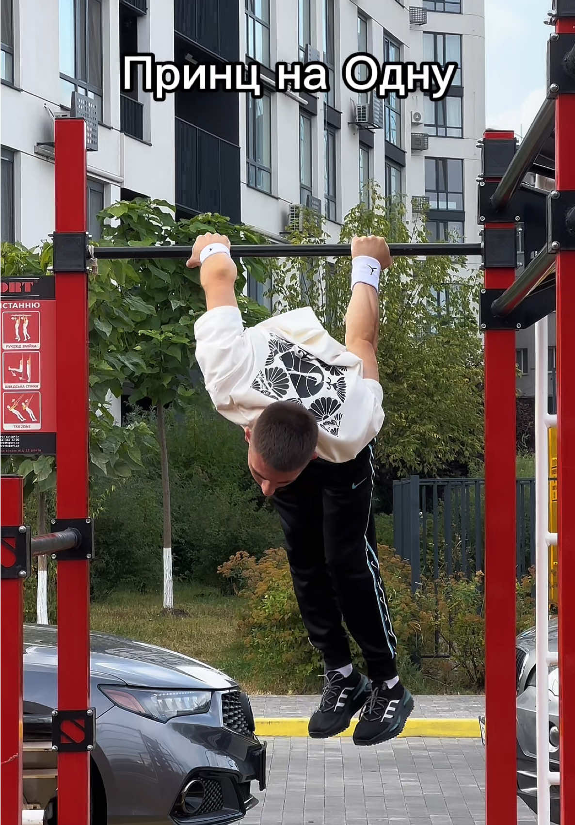 🕷️🕸️#elements #workout #calisthenics #sports #easy 