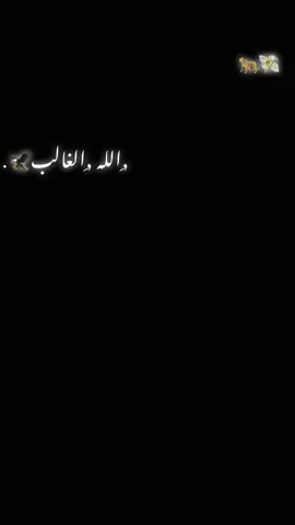 #اخر_عباره_نسختها🥺💔🥀 #تصويري_احترافي_الاجواء👌🏻🕊😴 #تصميم_فيديوهات🎶🎤🎬 #تصميم_فيديوهات #الحمدالله_علی_کل_حال❤ 