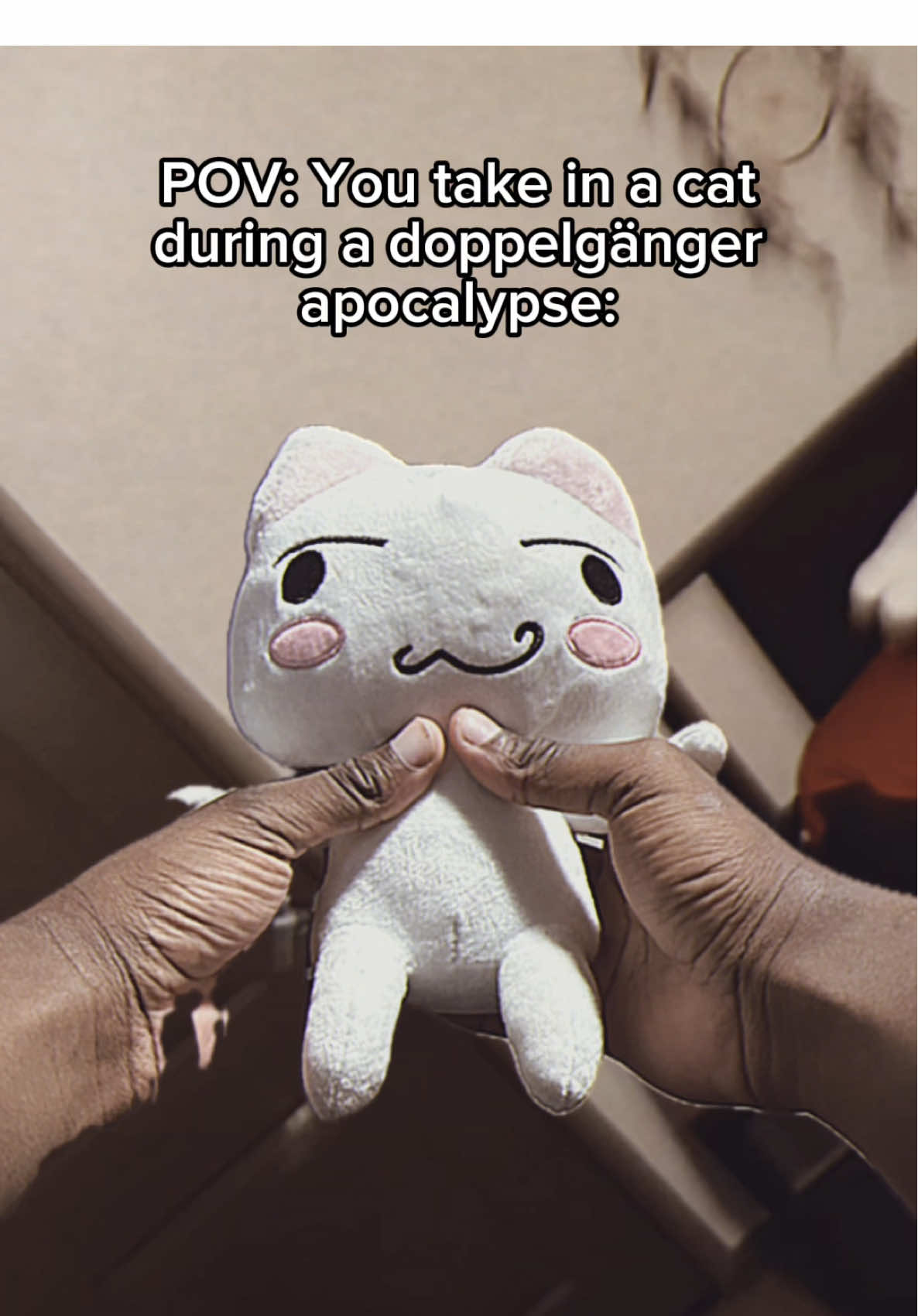 THANK YOU CAT❗️🐈  ||  #coryxkenshin #fyp #foryoupage #xyzbca #viral 