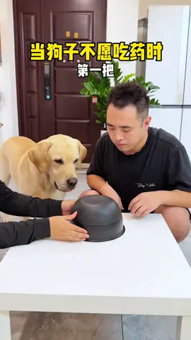 #pet #petcung #yeupet #thucung #tiktokgiaitri 