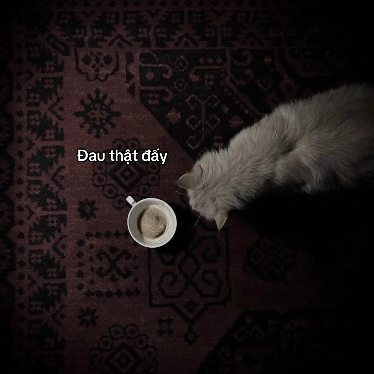 #sadstory #tinhyeu #viral #tam_trang_buon #pheoverthinking 