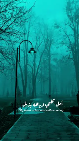 ينـصح بسـتخدام السـماعات 🎧😩💔 #سيد_سلام_الحسيني  #علاوي1422هـ 