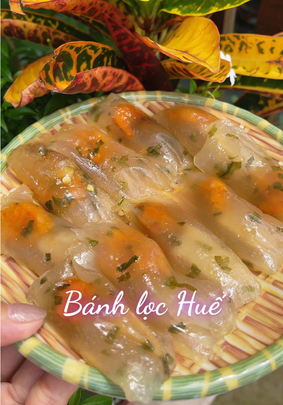 Bánh bột lọc Huế #ancungthino #dacsanhue #xuhuong #ancungtiktok♥️ #banhbotlochue 