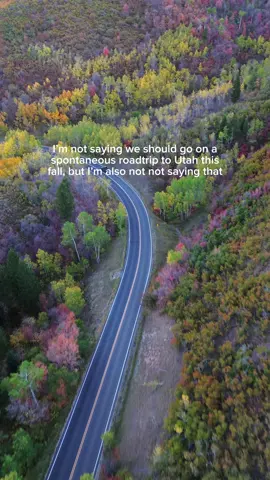 Utah is one of my favorite places to visit in the fall!  The first time we visited, we were surprised how insanely vibrant it was! Now, we try to go back as often as possible…year round, but definitely in the fall!  Have you been to Utah in the fall?  . . . . Salt Lake City, Orem Utah , Cascade canyon, Payson Utah, things to do in Utah , fall in Utah, Utah hiking, fall hiking adventures  #TeamBronco_Ambassador  @Ford Motor Company 