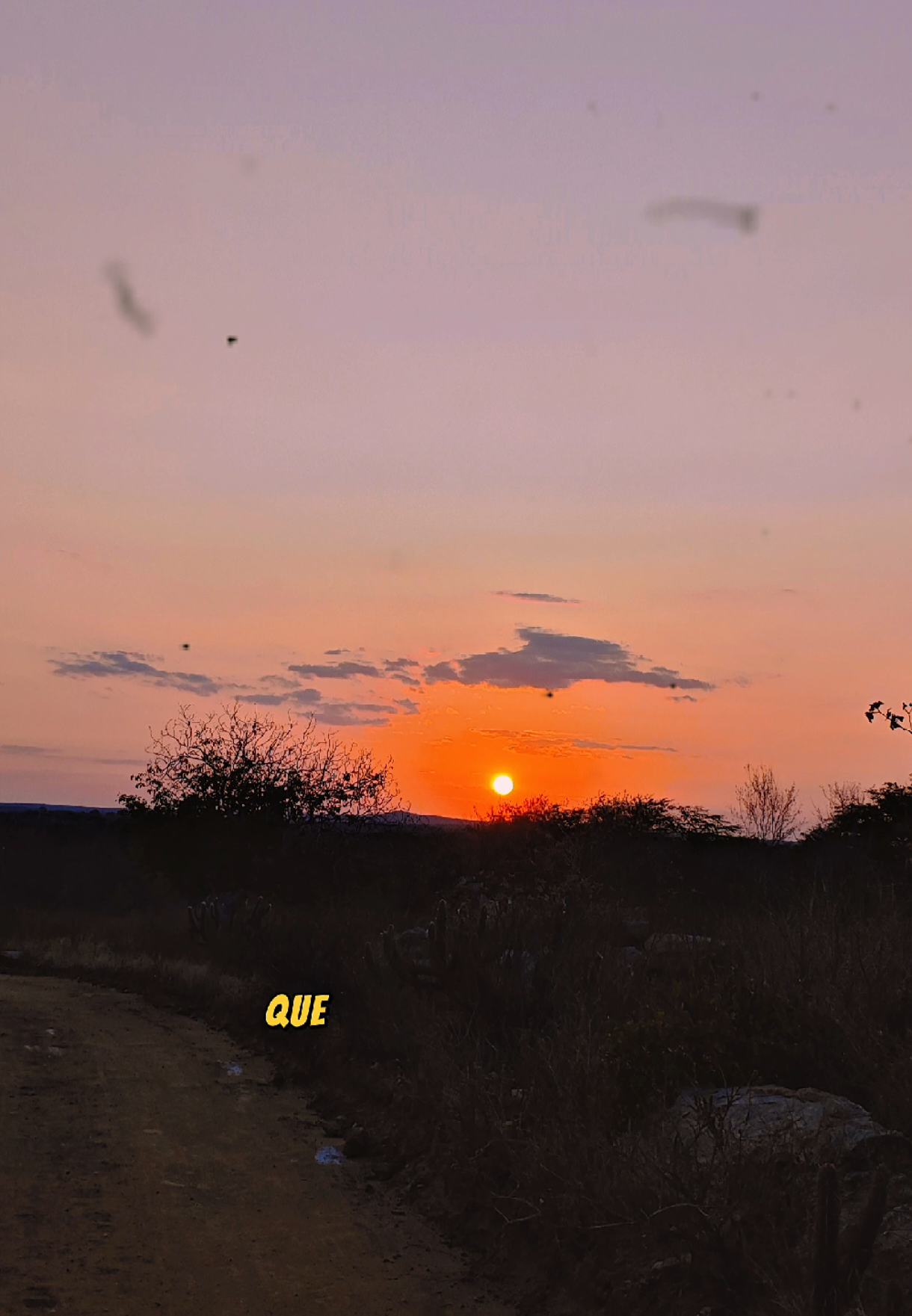 Seja objetivo em suas escolhas... 🙌🏻🙏🏻 #motivacional #superação #motivação #conquista #reflexaododia Autor do áudio:@Bulfete operador 🥊 