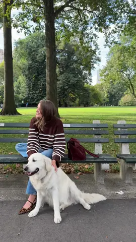 a day uptown in @J.Crew 