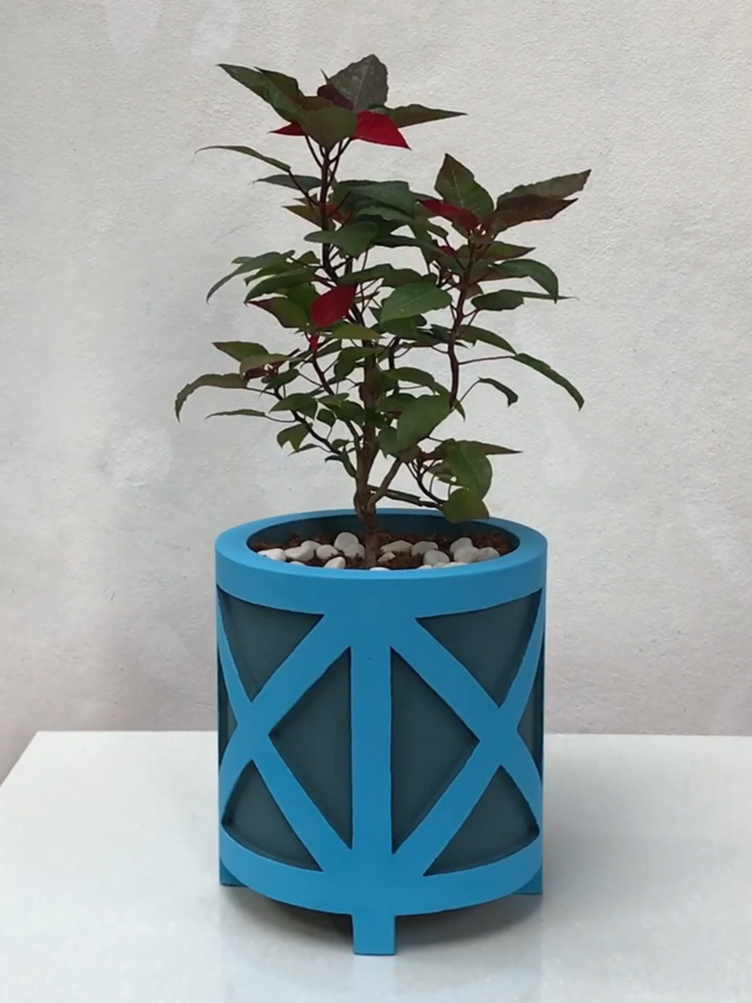 #creativ #creative #toys #shorts #DIY #decoração #jardinagem #dolixoaoluxo #craft #craftideas #artesanatoaplicado