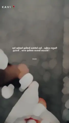#අත්_අල්ලන්_ඉක්මන්_ගමනින්_යන්🥀💕 . . #viral #tranding #fypシ゚ #lovestatus 