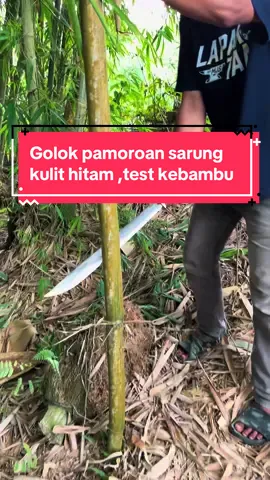Golok bahan bajaper asli pb 40cm spek multifungsi pake sarung kulit sapi asli biar tambah cakep dan elegan #golok #Golokkebun #goloksembelih #parang #fyp 