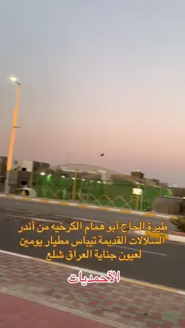 الكرخي الآصيل لعيون جناية العراق شلع #طيور #الازرق #حمام #الشعب_الصيني_ماله_حل😂😂 #مالي_خلق_احط_هاشتاقات 