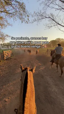 #campoargentino🌱🌾🌻🐮🐂 