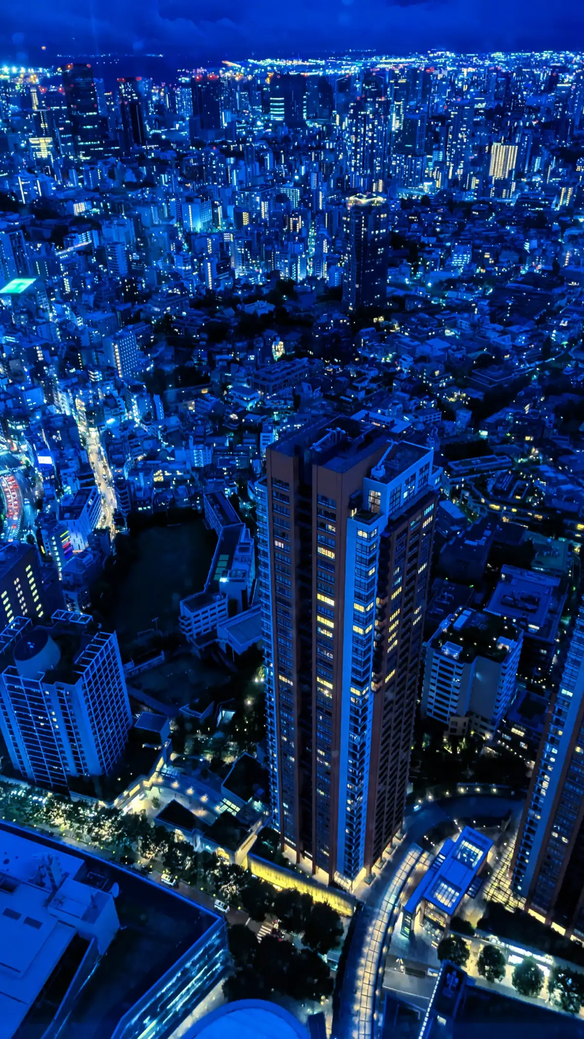 実は今日は私の誕生日です🙌 #夜景 #夜 #儚い #雰囲気 #fyp 