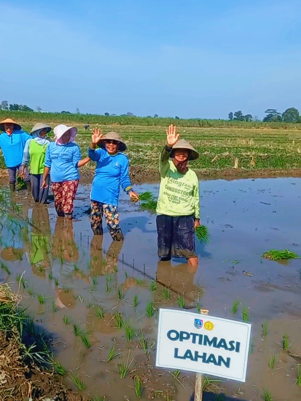 bahagia seperti apa yang engkau cari, sedang yang ada tak kau syukuri. #penyuluhpertanian 