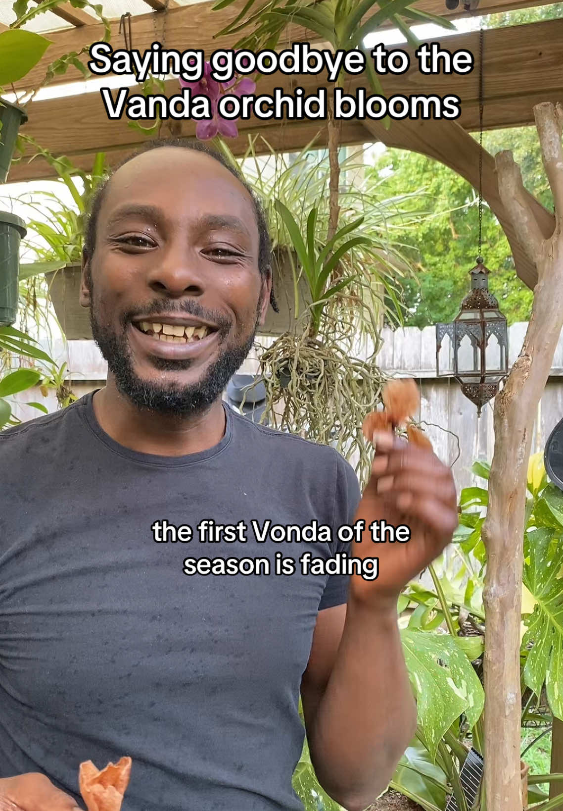 This has been in my drafts… all the blooms have bloomed. Until I see them again 🫡 thank you for bringing joy to my summer. I will never forget the trifecta of the Vanda orchid blooms #orchids #transition #lettingo 